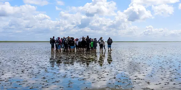 Wattwanderung in der Nordsee mit ruf Jugendreisen